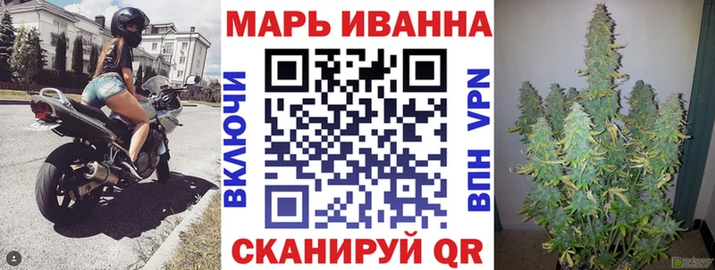 Конопля гибрид  Бирюч 
